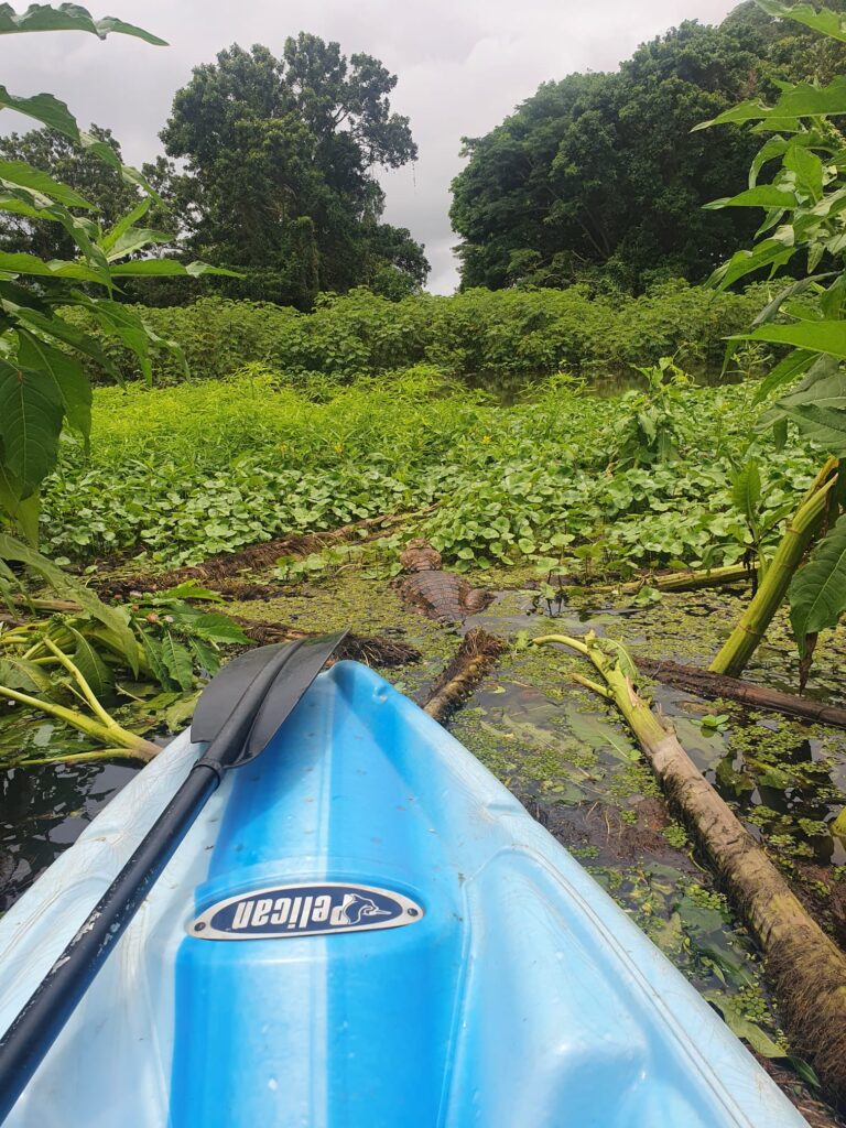 Kayak Tour with Mono Loco Adventures