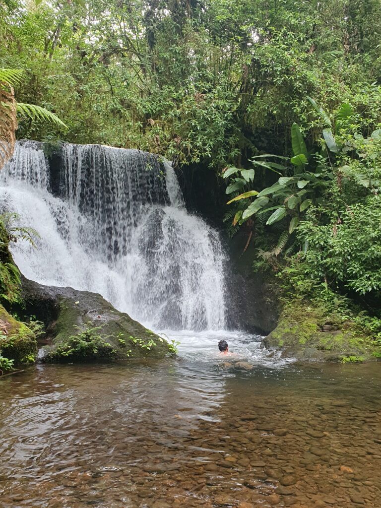 Swimmin in the foutain of youth during the cloud forest walk in macizo