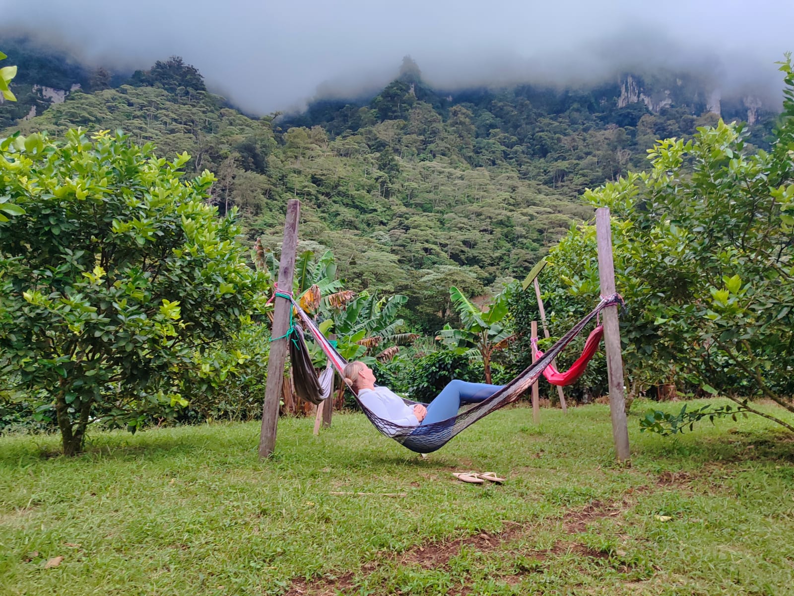 Macizo de Penas Blancas