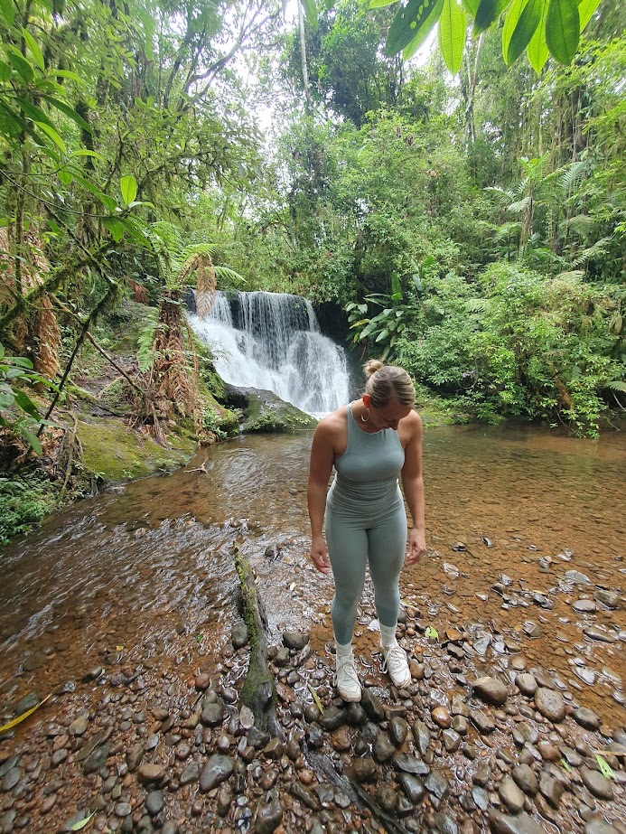 Hike in the Macizo cloud forest with Mono Loco Adventures