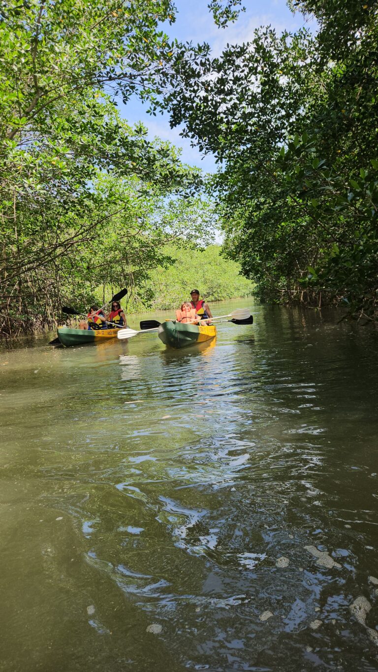 Family kayaking Juan venado Island