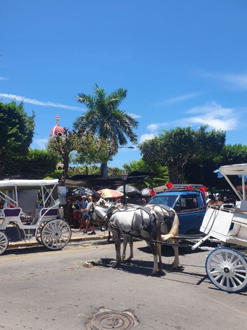 Original Free Walking Tour Granada with Mono Loco Adventures