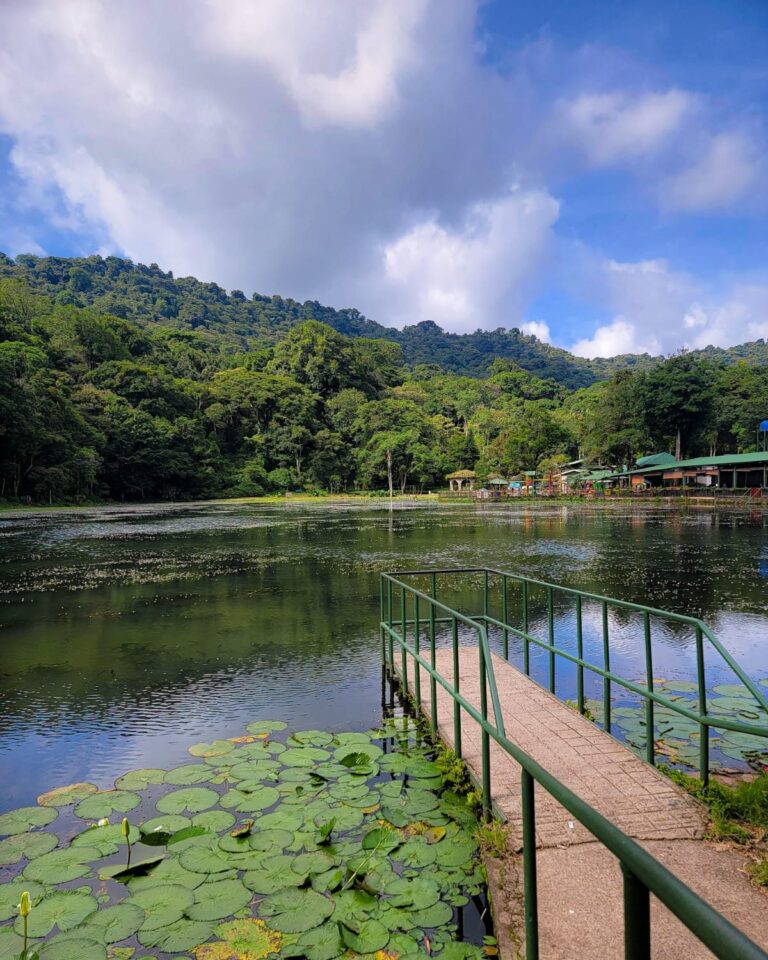 Selva Negra Ecolodge with Mono Loco Adventures