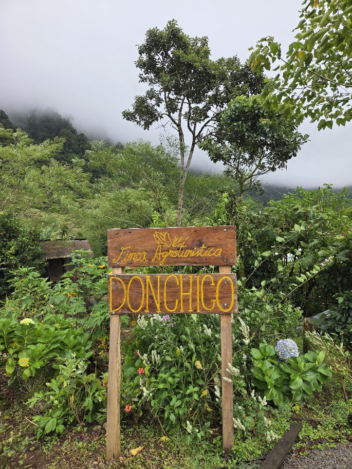Macizo cloud forest hike at Don Chico