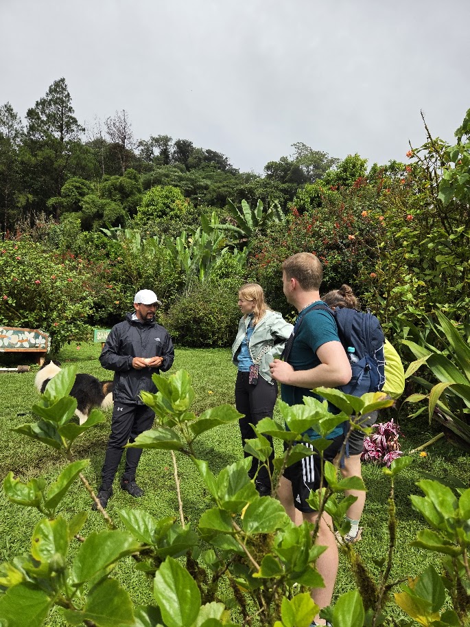 At Finca Neblina del Bosque in the Miraflor Reserve